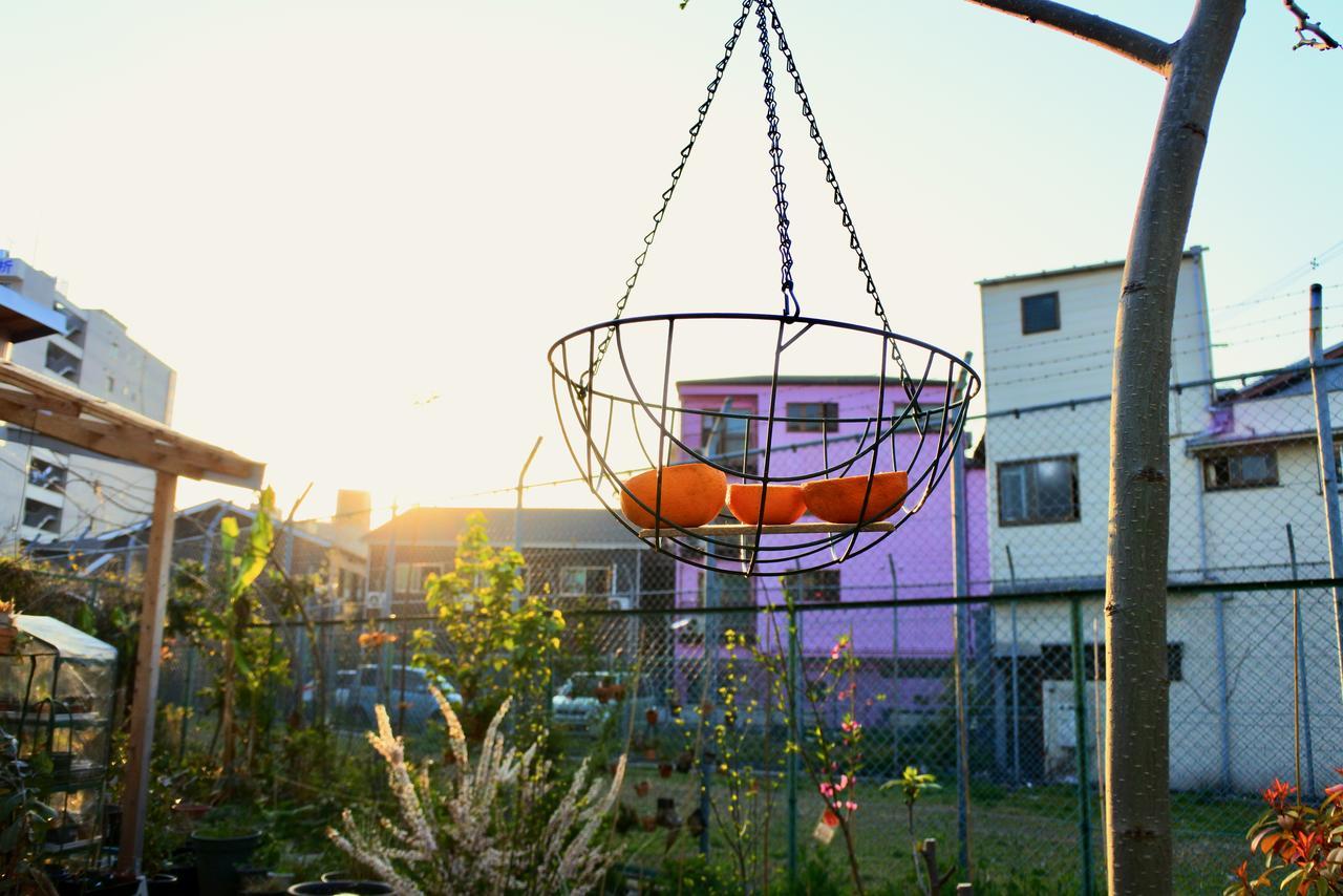 Kamagasaki University Of The Arts Cafe Garden Guest House Aka Cocoroom Ōsaka Eksteriør bilde